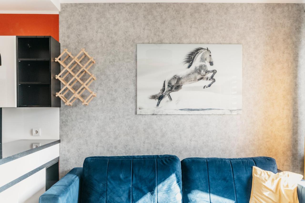 Nocosfera Apartament Stawiszynski Kaliszki Екстериор снимка